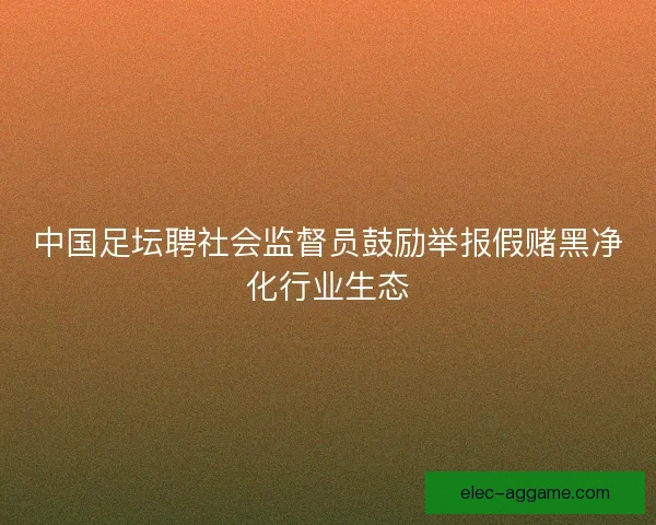 中国足坛聘社会监督员鼓励举报假赌黑净化行业生态