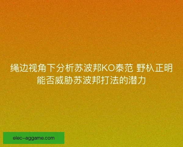 绳边视角下分析苏波邦KO泰范 野杁正明能否威胁苏波邦打法的潜力 绳边视角下分析苏波邦KO泰范 野杁正明能否威胁苏波邦打法的潜力